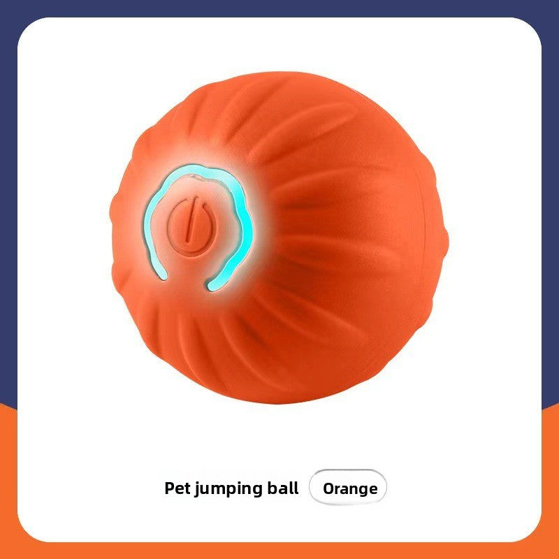 Interactive Cat Toy
