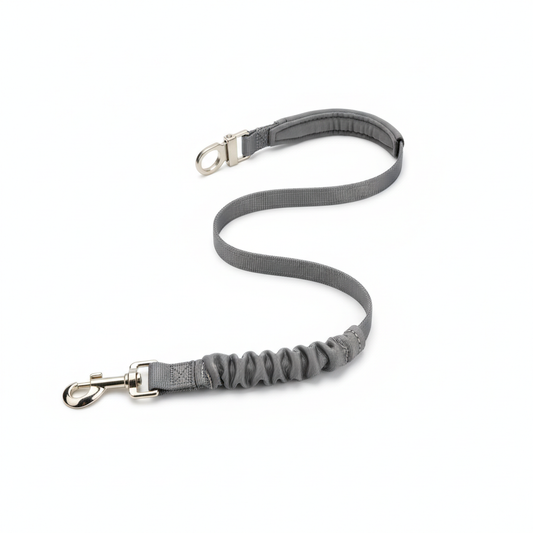 Harnais tactique pour chien