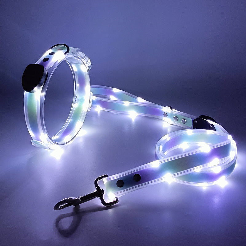 LED Dog collar & leash