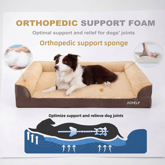 Orthopedic Dog Bed