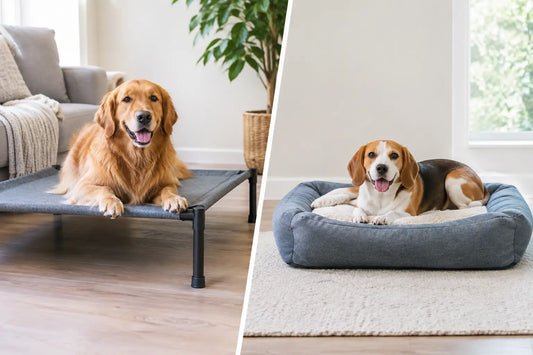 Raised Dog Bed vs Cushion: Which Fits Best?