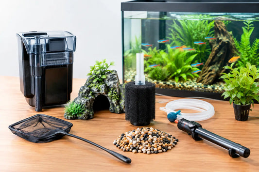 8 Fish Tank Accessories for Beginners to Buy First