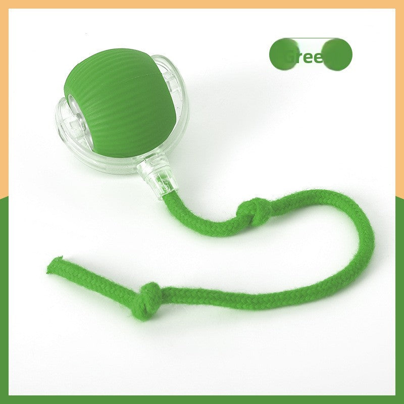Automatic Cat Toy