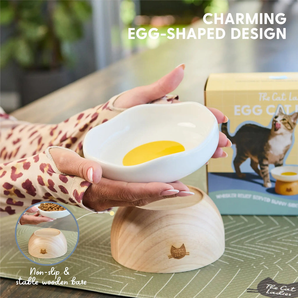 Elevated Cat Bowl with Egg Design