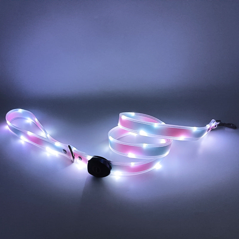 LED Dog collar & leash