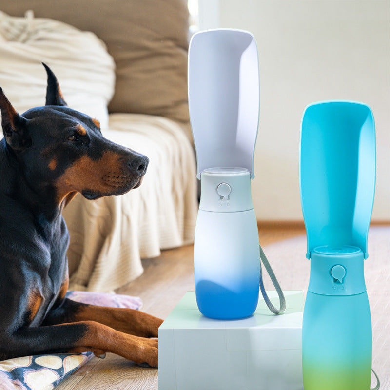 Folding Pet water bottle