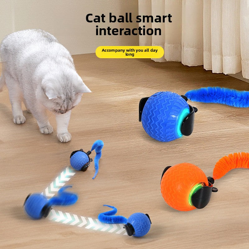 Automatic Cat Toy