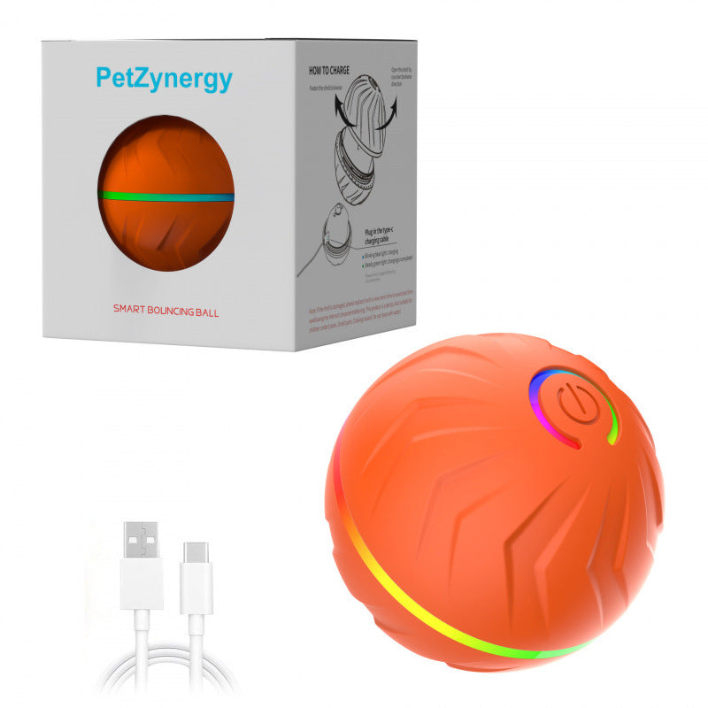 Bouncing Ball Dog Toy