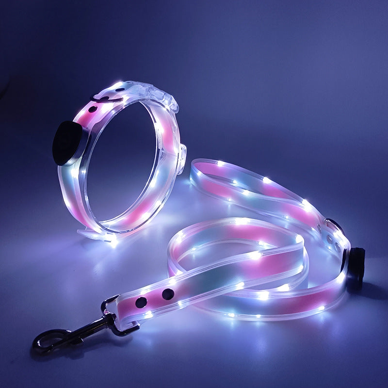 LED Dog collar & leash