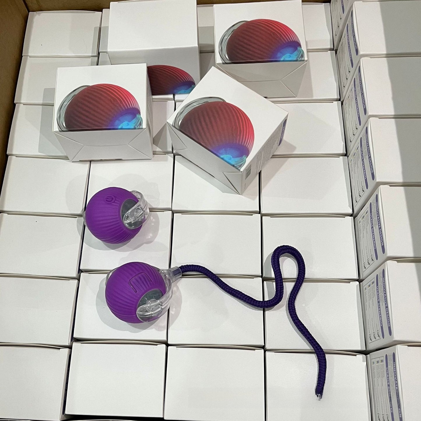 Interactive Cat Toy