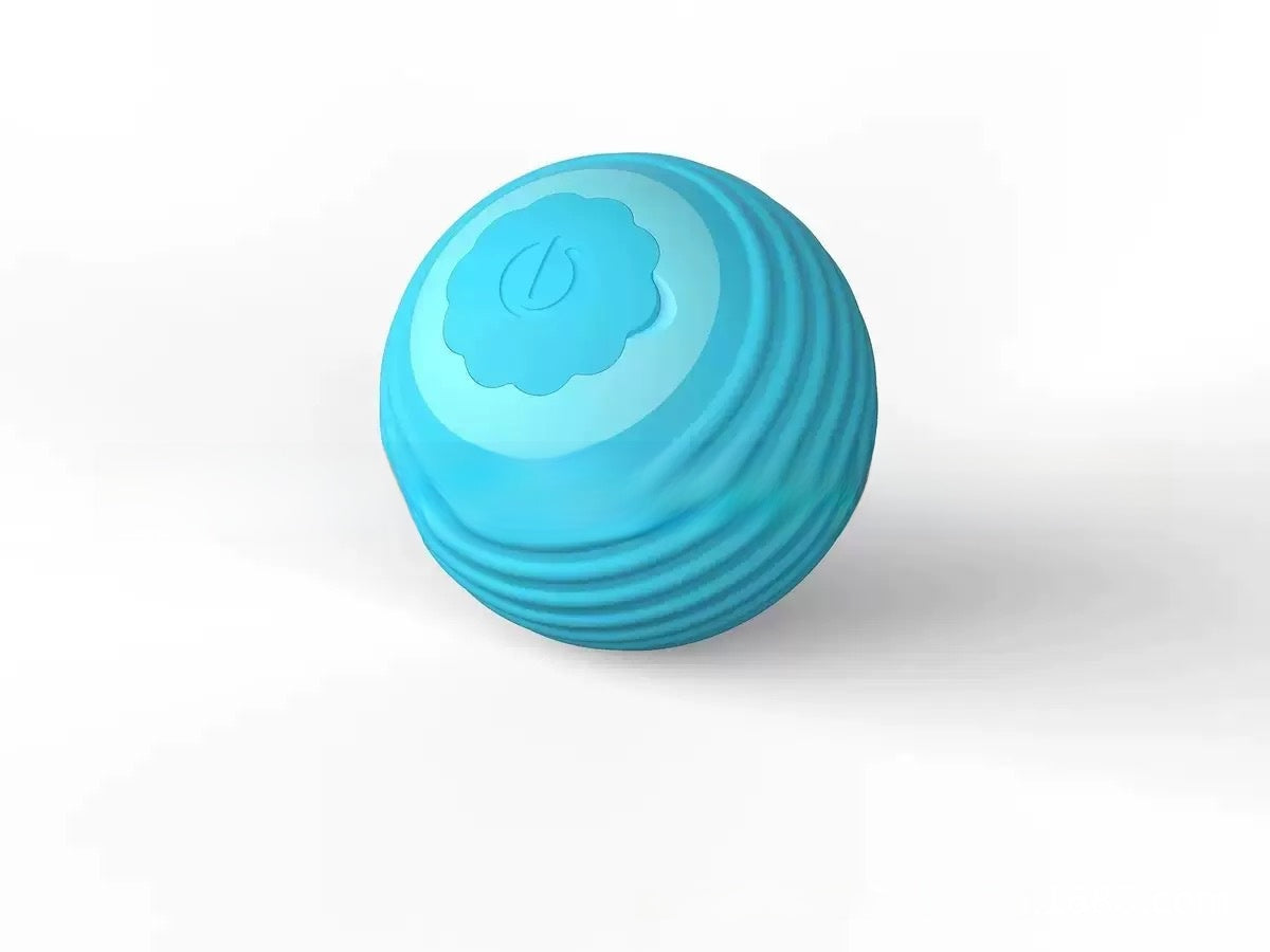 Interactive Cat Toy