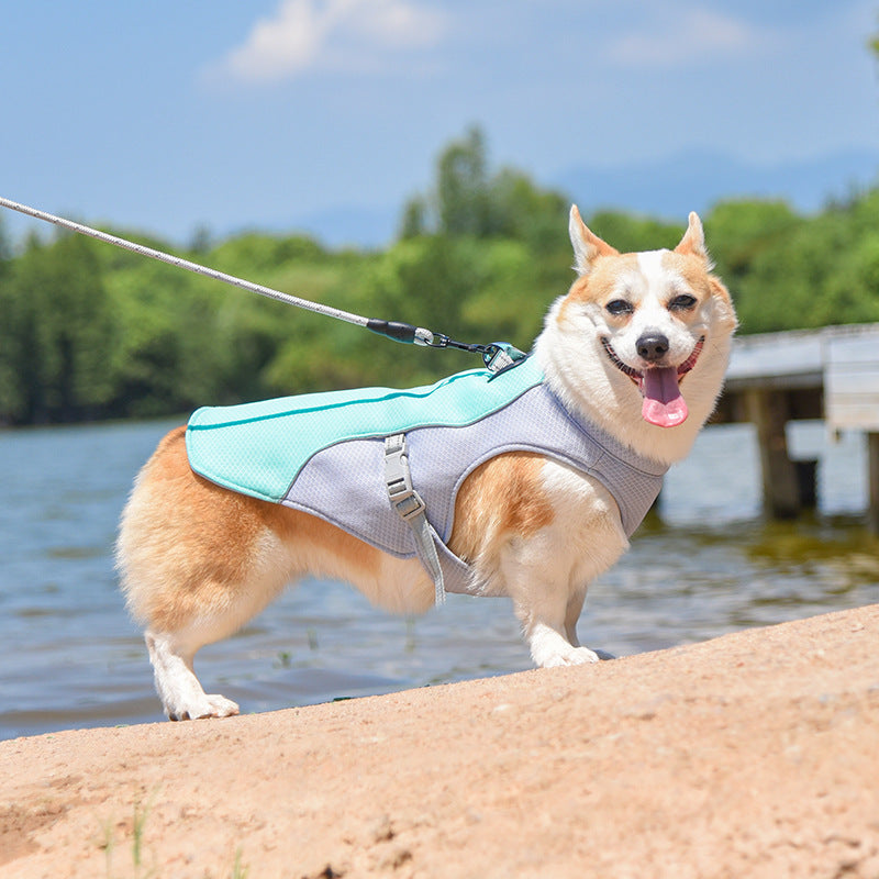 Summer cooling dog vest