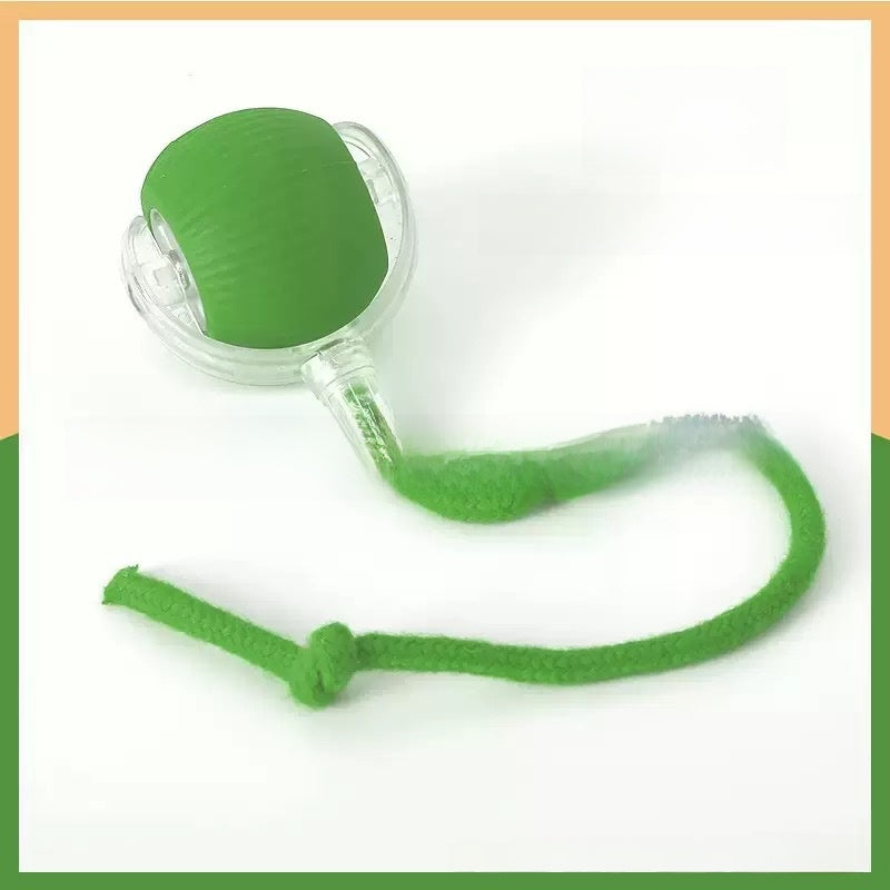 Interactive Cat Toy