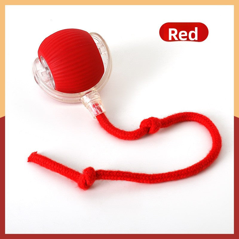 Automatic Cat Toy