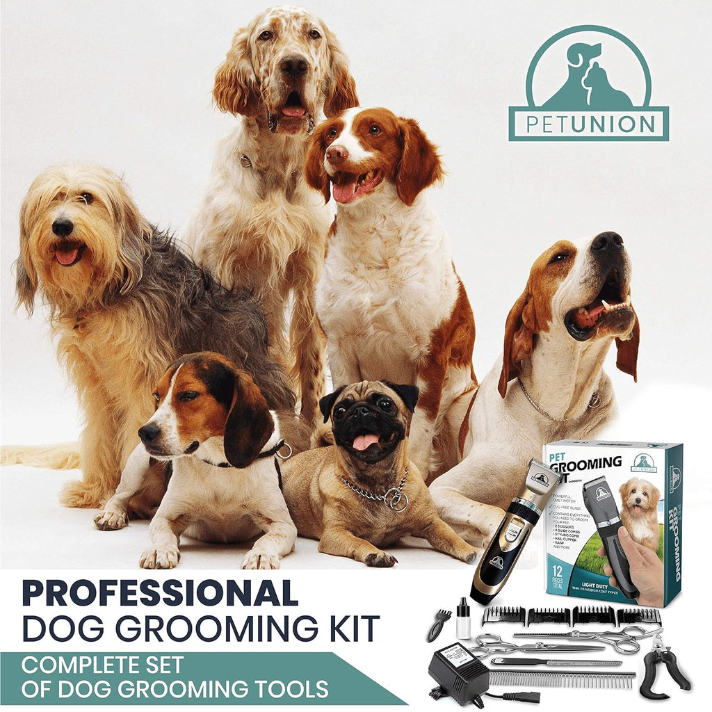 Low Noise Professional Pet Grooming Kit