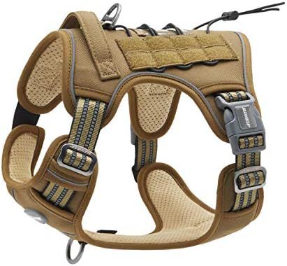Heavy-Duty Quick-Release Dog Harness + Leash Set
