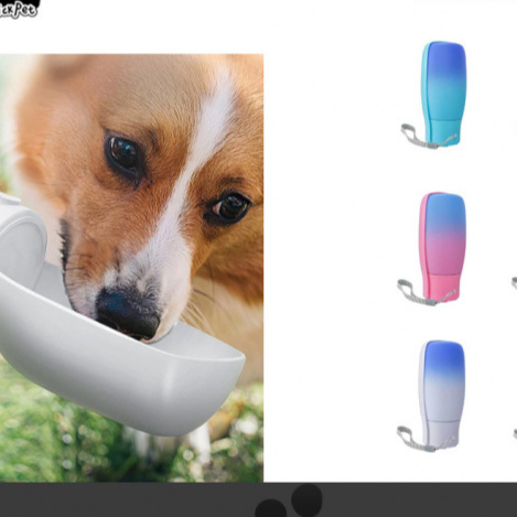 Folding Pet water bottle