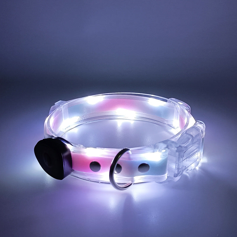 LED Dog collar & leash