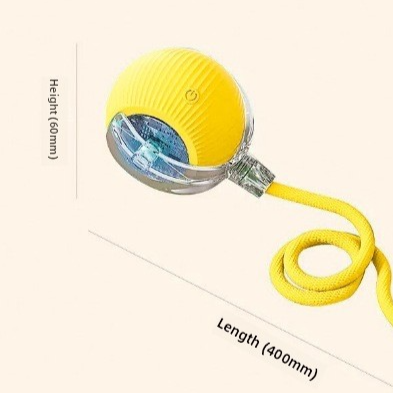 Interactive Cat Toy