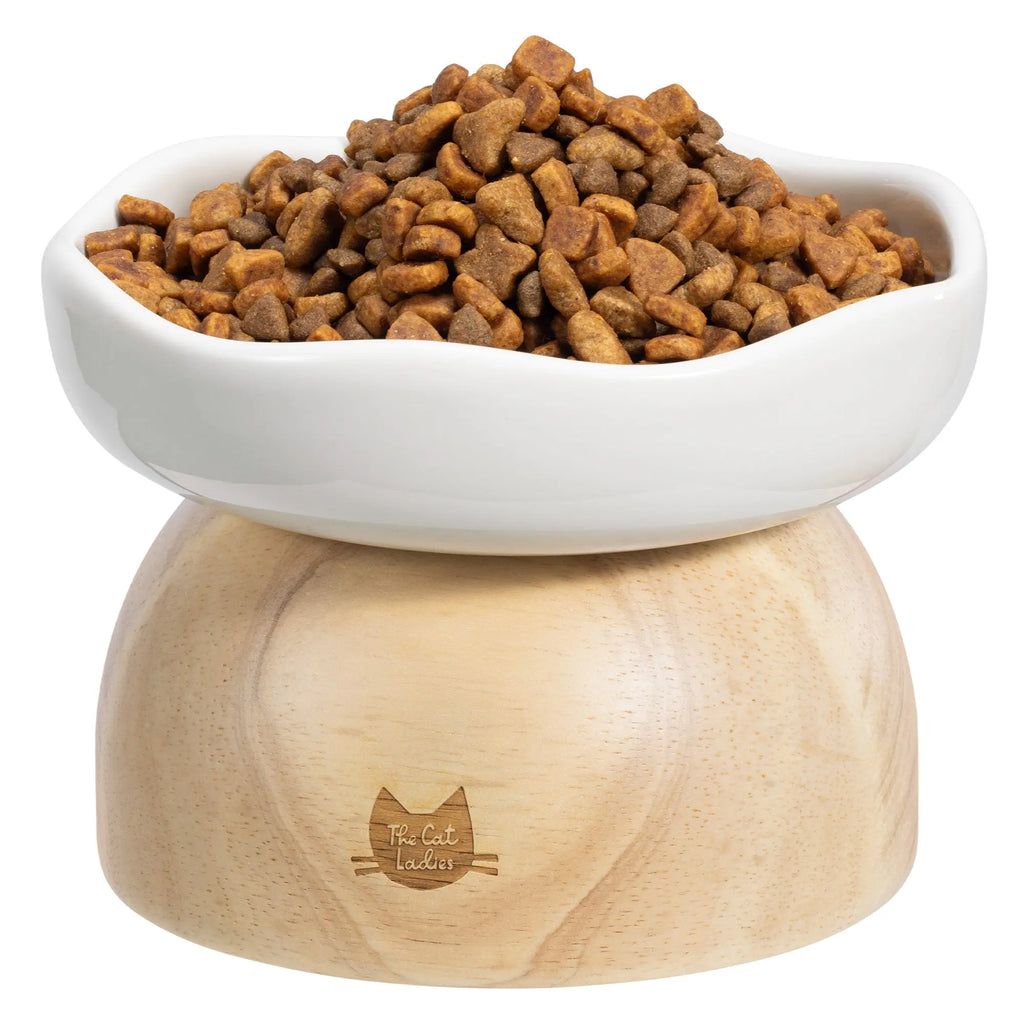 Elevated Cat Bowl with Egg Design
