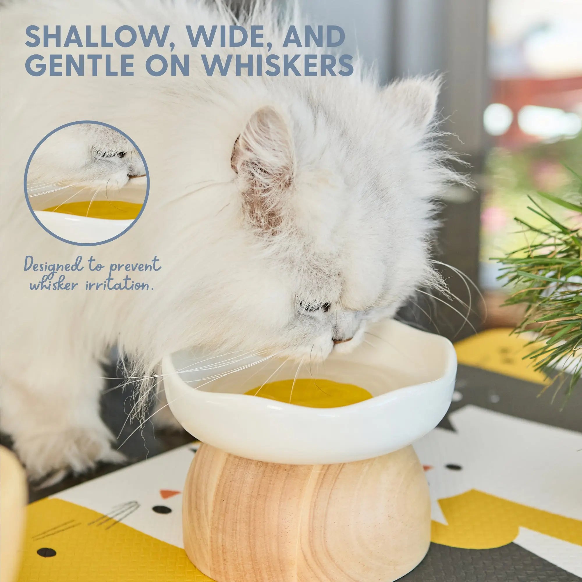 Elevated Cat Bowl with Egg Design