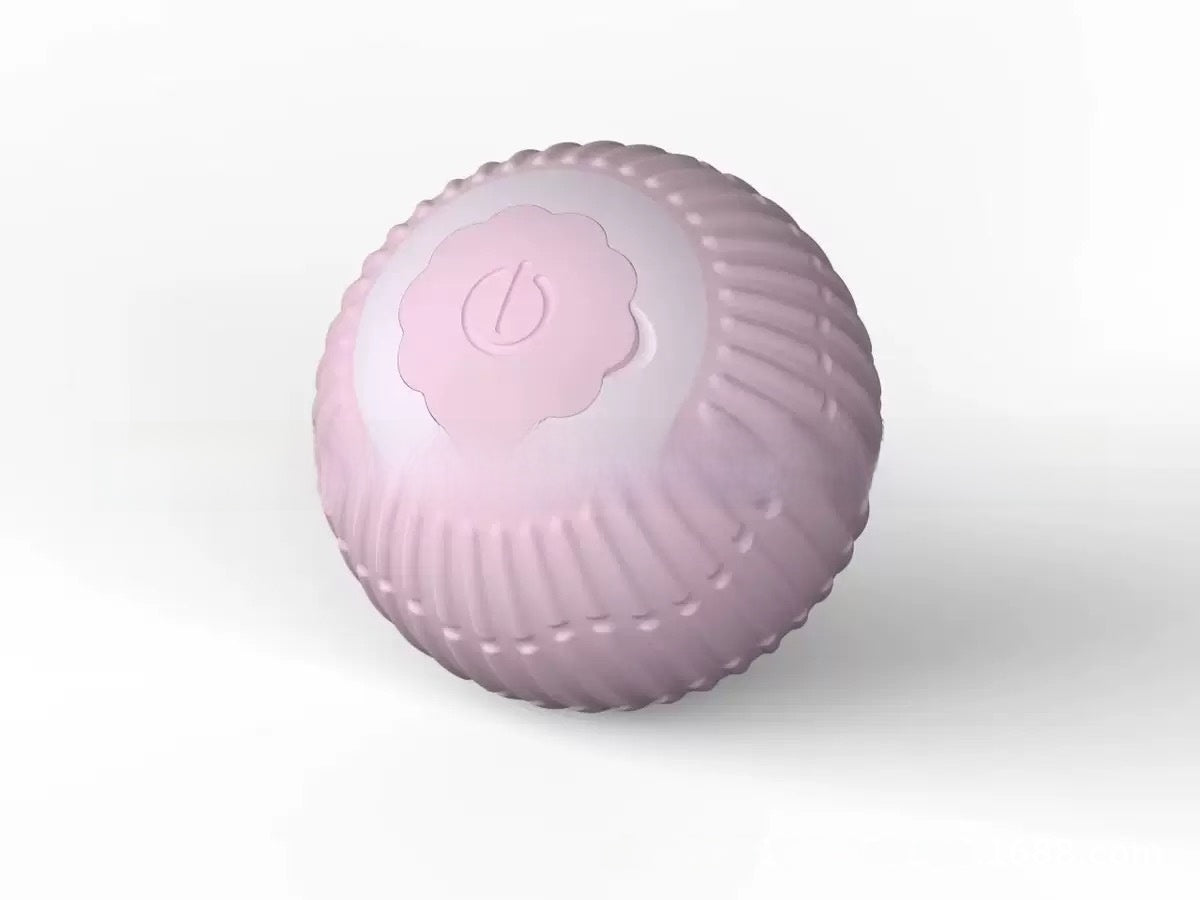 Interactive Cat Toy