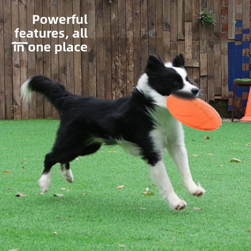 Dog Frisbee