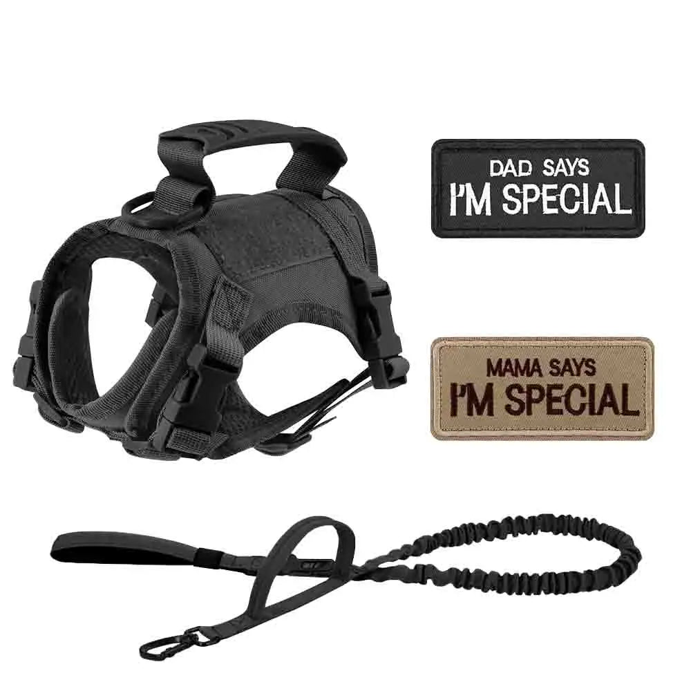 Tactical Dog Harness Set for Small Dogs and Cats - Includes Vest, Leash, and 2 Patches for Outdoor Activities