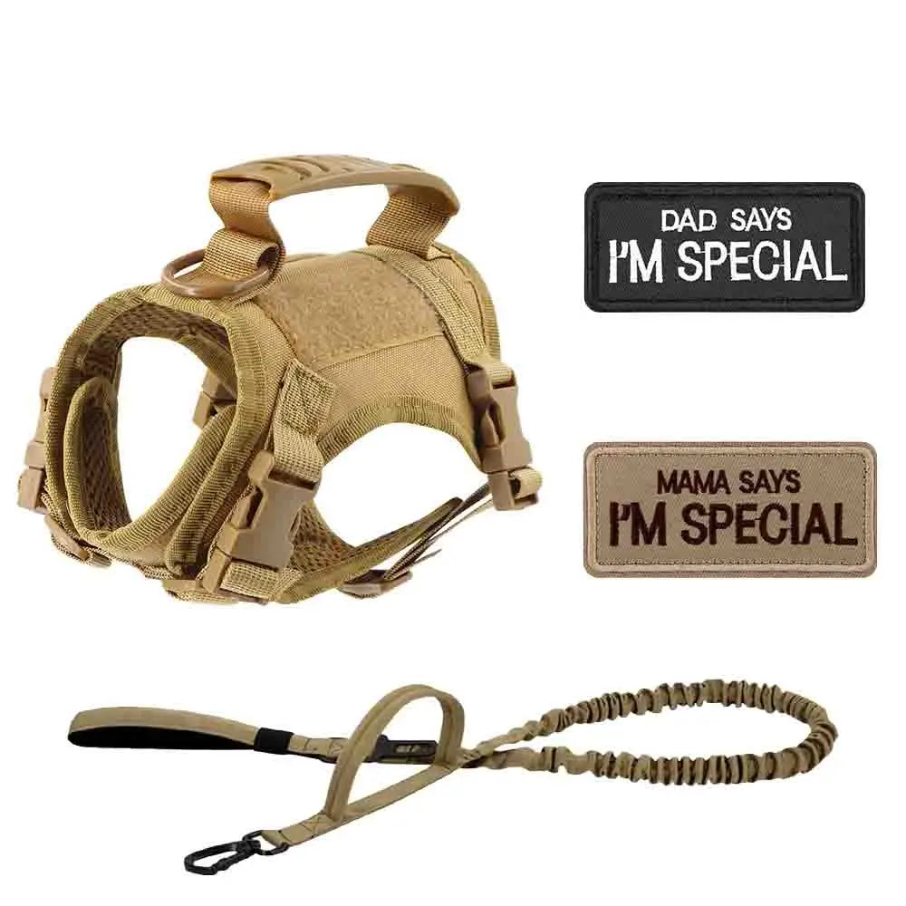 Tactical Dog Harness Set for Small Dogs and Cats - Includes Vest, Leash, and 2 Patches for Outdoor Activities