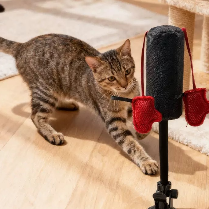 Cat Boxing Toy