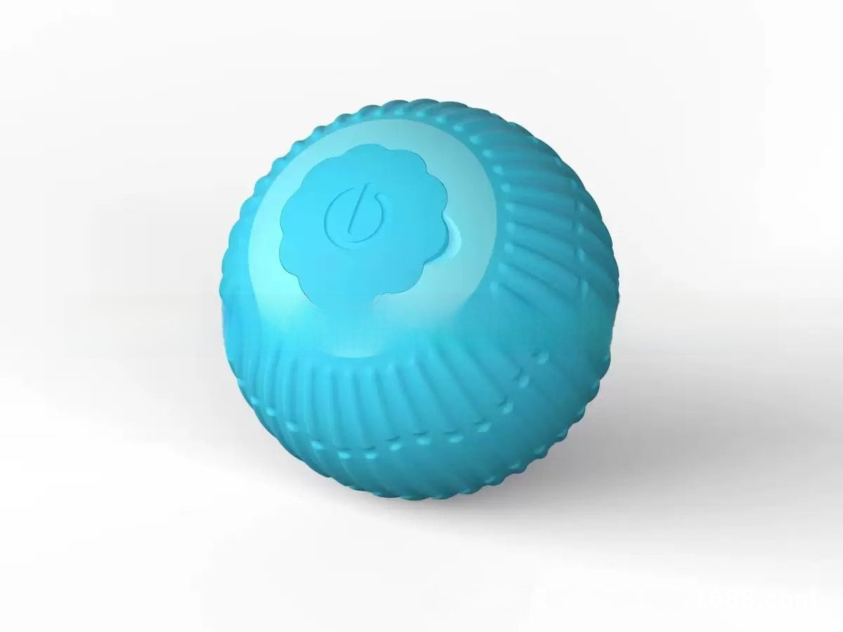 Interactive Cat Toy