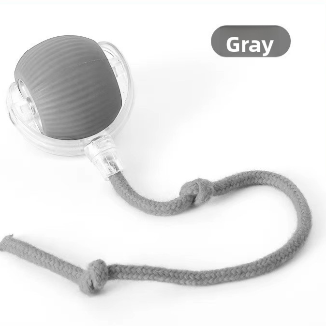 Interactive Cat Toy