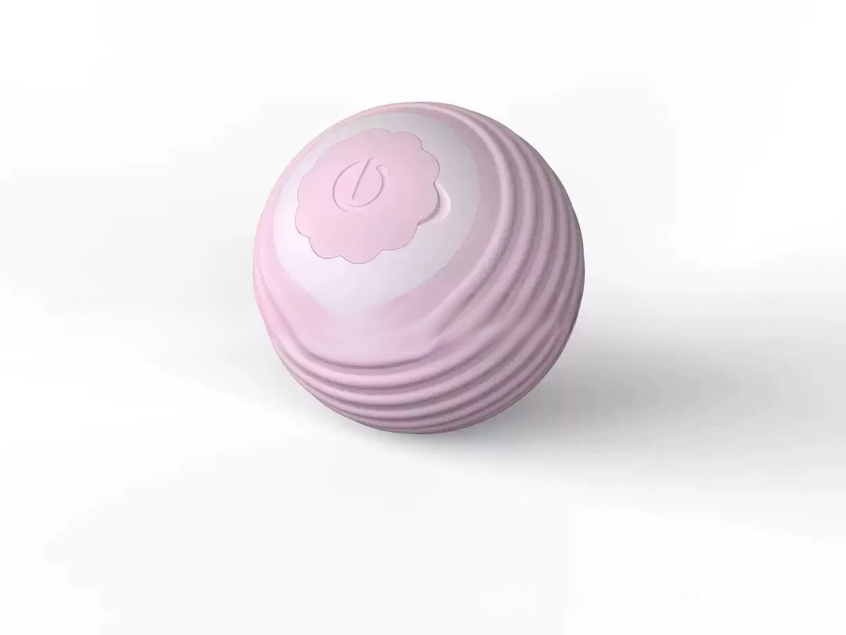 Interactive Cat Toy