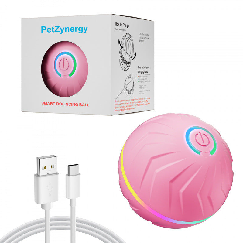 Bouncing Ball Dog Toy