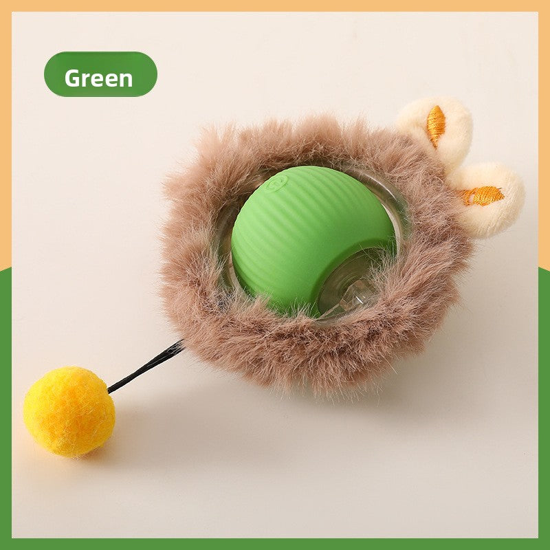 Interactive Cat Toy