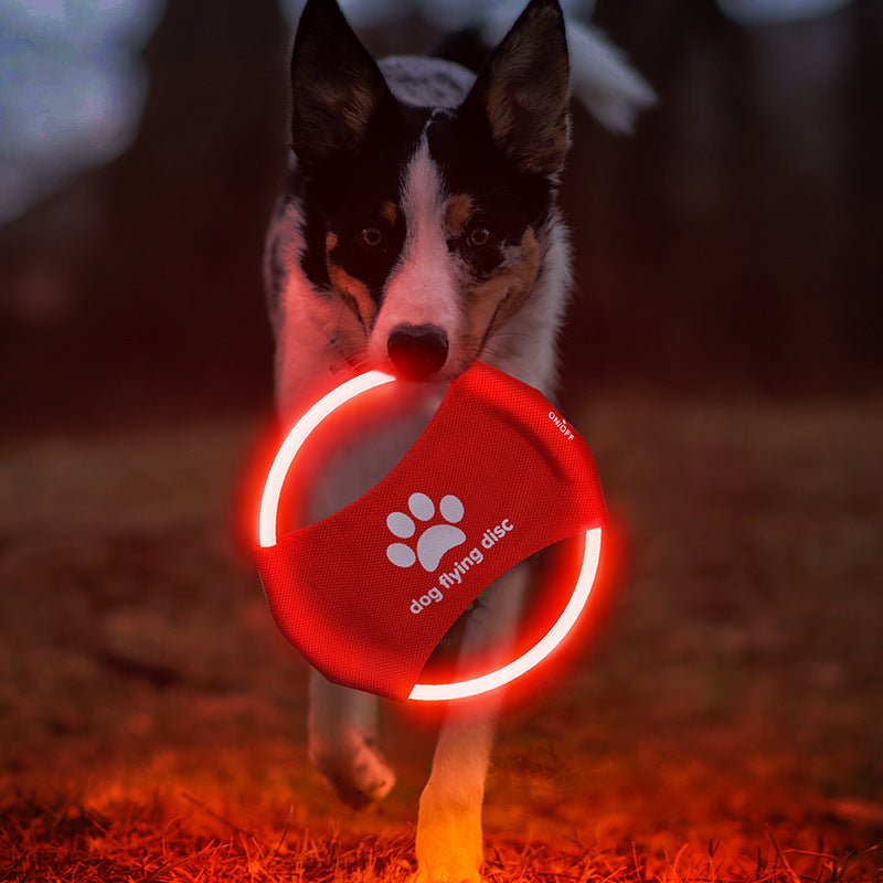 LED Dog Frisbee