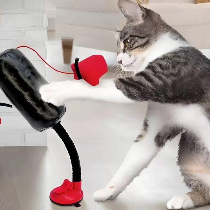 Cat Boxing Toy