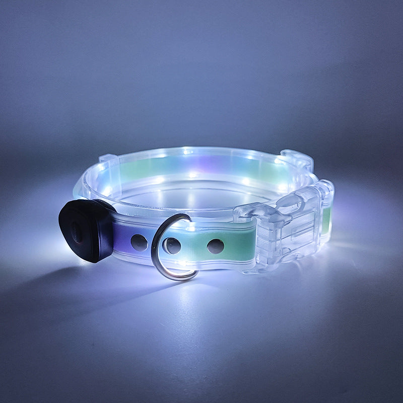 LED Dog collar & leash