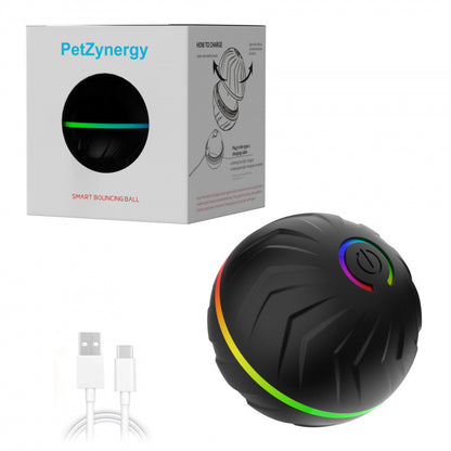 Bouncing Ball Dog Toy 