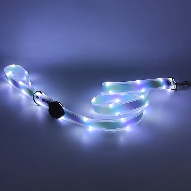 LED Dog collar & leash