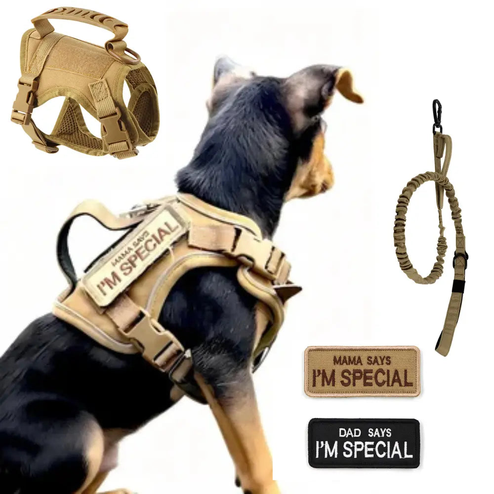 Tactical Dog Harness Set for Small Dogs and Cats - Includes Vest, Leash, and 2 Patches for Outdoor Activities
