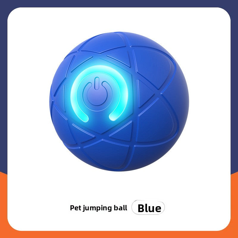 Interactive Cat Toy