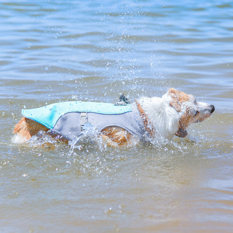 Summer cooling dog vest