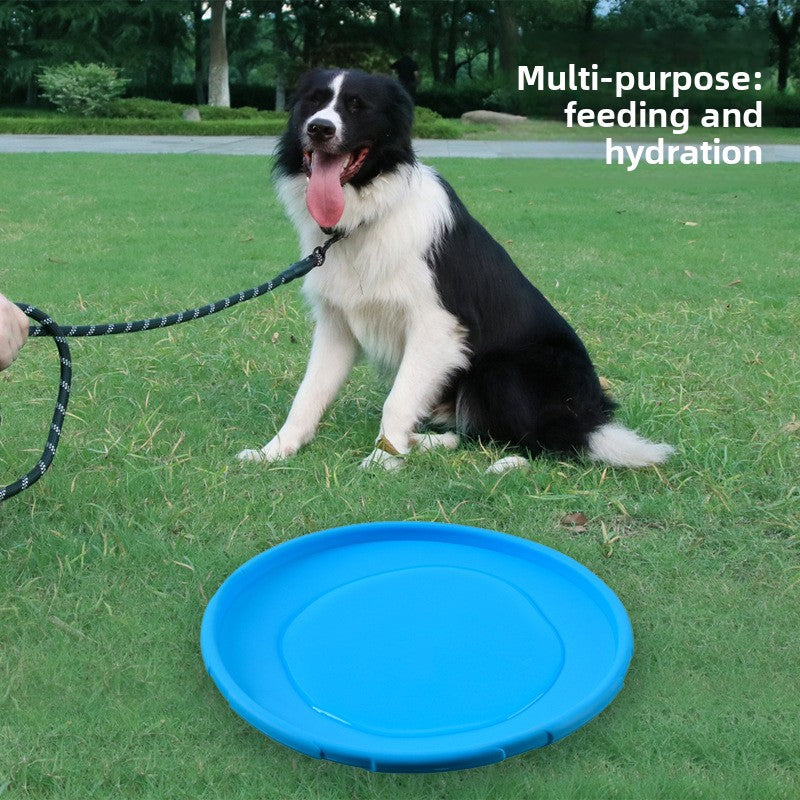 Dog Frisbee
