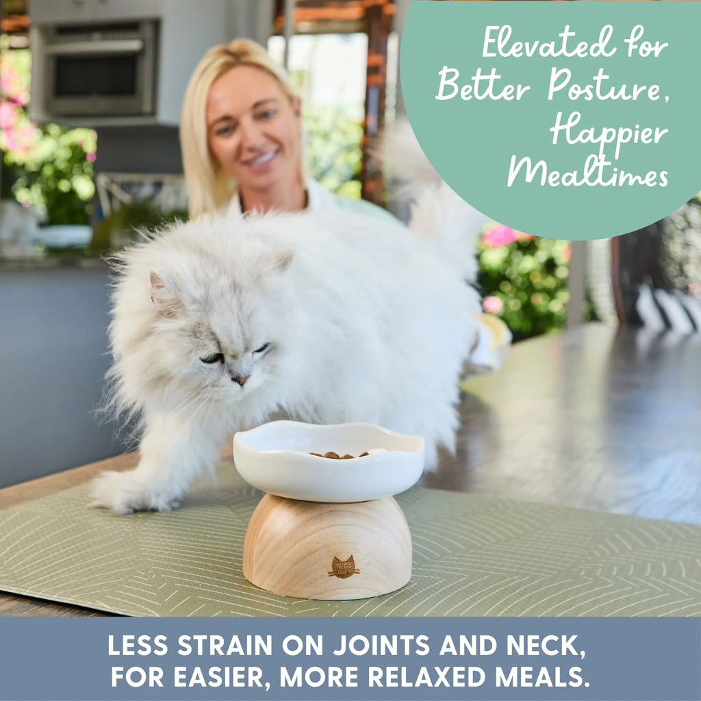 Elevated Cat Bowl with Egg Design