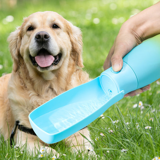 Folding Pet water bottle