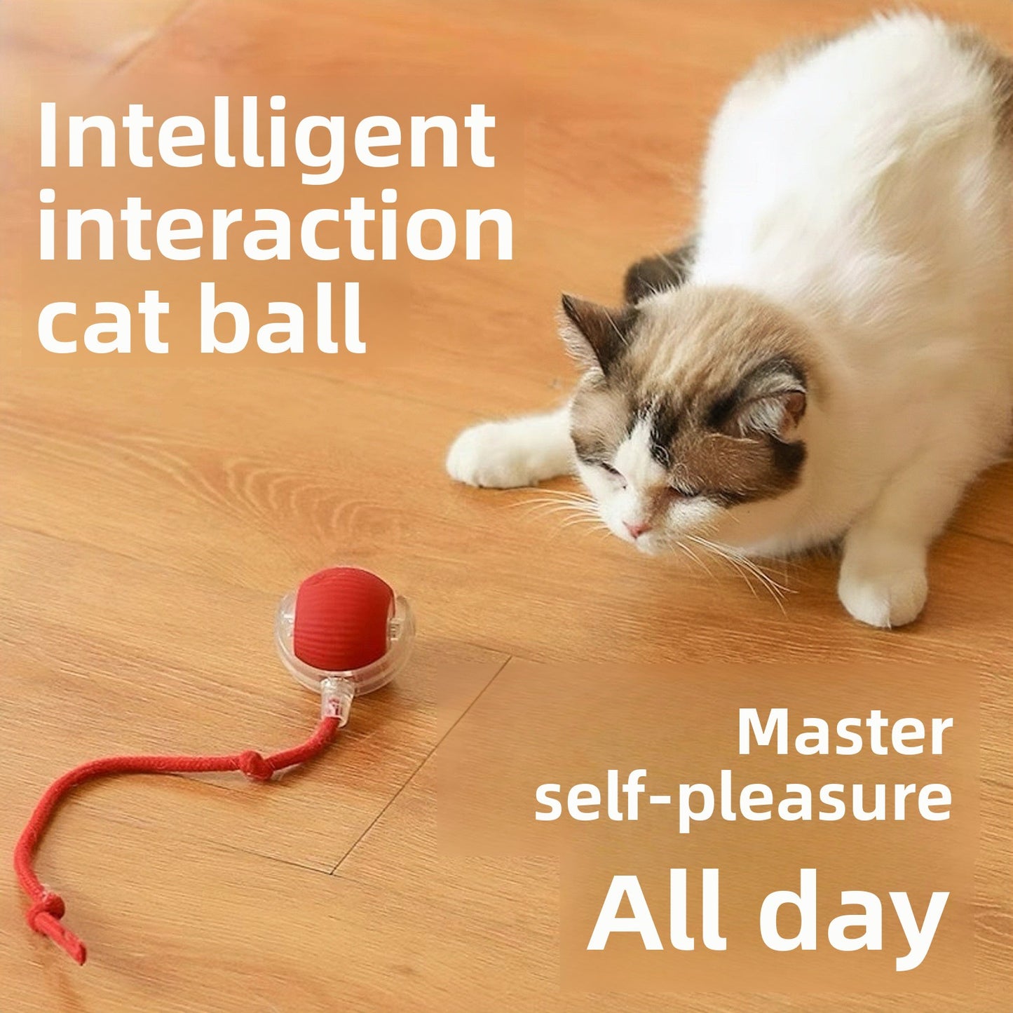 Interactive Cat Toy