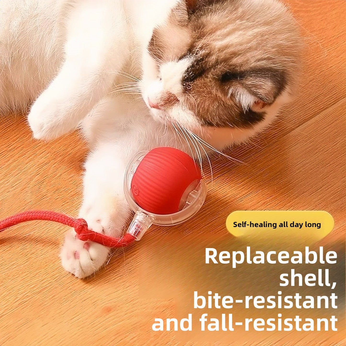 Interactive Cat Toy