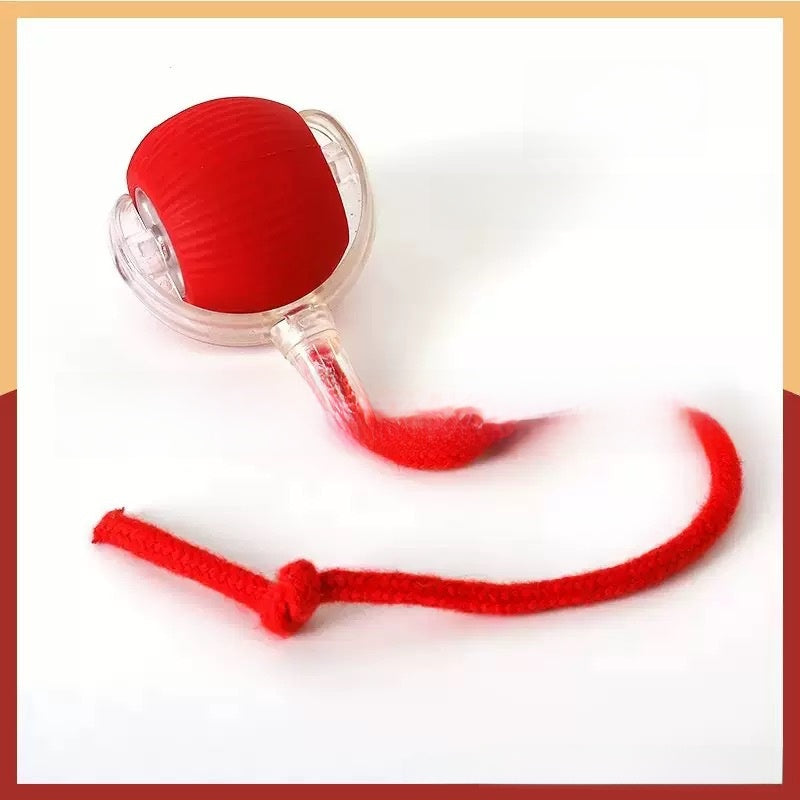 Interactive Cat Toy