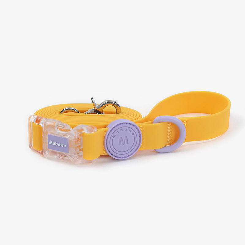 Laisse pour chien mains libres et imperméable